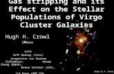 Gas stripping and its Effect on the Stellar Populations of Virgo Cluster Galaxies Hugh H. Crowl UMass with Jeff Kenney (Yale) Jacqueline van Gorkom (Columbia),
