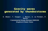 Gravity waves generated by thunderstorms E. Blanc 1, T. Farges 1, J. Marty 1, A. Le Pichon 1, P. Herry 1 1 Commissariat Energie Atomique DASE/LDG Bruyères.