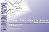 CHAN Siu Lung, Daniel CHAN Wai Kin, Ken CHOW Chin Hung, Victor KOON Ping Yin, Bob CURE: Efficient Clustering Algorithm for Large Databases for Large Databases.