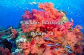 Marine Ecology Chapter 10. 2 Ecology  The study of the interactions between organisms and their environment.  Also studies how these interactions affect.