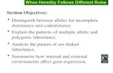 Distinguish between alleles for incomplete dominance and codominance. Section Objectives: Explain the patterns of multiple allelic and polygenic inheritance.