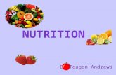 By Teagan Andrews. Carbohydrates Main source of energy from food Types: - Simple ( simple sugars) - Complex ( starches) Food: candy, fruit, dairy, grains,