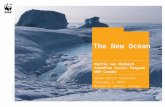 © Lee Narraway/WWF-Camada 1 The New Ocean Martin von Mirbach Canadian Arctic Program WWF-Canada Youth Arctic Coalition February 1, 2014 Museum of Nature,