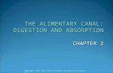 CHAPTER 2 THE ALIMENTARY CANAL: DIGESTION AND ABSORPTION Copyright © 2010, 2005, 1998 by Saunders, an imprint of Elsevier Inc.