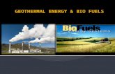 Geothermal To Electric Energy BIO FUELS  There are better solutions- such as using hydrogen fuel cells  Not many gas stations have bio fuels available.