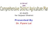A Brief on (C-DAP) for Supaul District Presented By Dr. Pyare Lal Bihar Institute of Economic Studies 103A/1, Nageshwar Colony, Boring Road, Patna-800001.