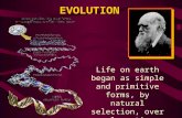 EVOLUTION Life on earth began as simple and primitive forms, by natural selection, over a long time various complex organisms form.