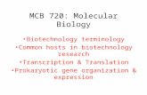 MCB 720: Molecular Biology Biotechnology terminology Common hosts in biotechnology research Transcription & Translation Prokaryotic gene organization &