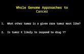 Whole Genome Approaches to Cancer 1. What other tumor is a given rare tumor most like? 2. Is tumor X likely to respond to drug Y?