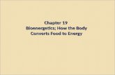 Chapter 19 Bioenergetics; How the Body Converts Food to Energy.