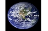 Perturbation of Ecological Systems Dr. Debrah Fine.