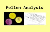 Pollen Analysis. Pollen and Spores objectives distinguish between and explain how pollen and spore evidence can be used in crime investigation define.