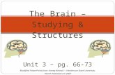 Modified PowerPoint from: Aneeq Ahmad -- Henderson State University. Worth Publishers © 2007 The Brain – Studying & Structures Unit 3 – pg. 66-73.