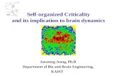 Self-organized Criticality and its implication to brain dynamics Jaeseung Jeong, Ph.D Department of Bio and Brain Engineering, KAIST.
