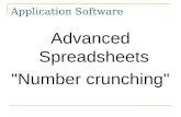 Application Software Advanced Spreadsheets "Number crunching"
