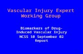 1 Vascular Injury Expert Working Group Biomarkers of Drug-Induced Vascular Injury NCSS 10 September 02 Report.