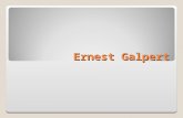 Ernest Galpert. Countries The special thing about Ernest Galpert is that he had lived in 5 different countries throughout his life.