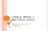 SINGLE MEDIA / MULTIPLE TESTS Medical Microbiology Laboratory MEDI 3101 Mr.Shadi Alashi.
