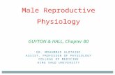 Male Reproductive Physiology GUYTON & HALL, Chapter 80 DR. MOHAMMED ALOTAIBI ASSIST. PROFESSOR OF PHYSIOLOGY COLLEGE OF MEDICINE KING SAUD UNIVERSITY.