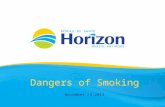 Dangers of Smoking November 24,2014. Health Info Public Health November 2014.