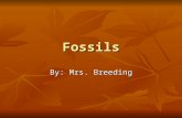 Fossils By: Mrs. Breeding. What Is A Fossil? Remains or evidence of animals or plants that have been preserved. Remains or evidence of animals or plants.