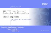 V v IBM System i™ © 2007 IBM Corporation STG VIP for System i Marketing Deliverables Sales Capsules i want to lead in select markets. i want control. i.