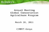 Annual Meeting Global Conservation Agriculture Program March 28, 2011 CIMMYT-Kenya.