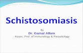 Schistosomiasis By Dr. Gamal Allam Assoc. Prof. of Immunology & Parasitology.