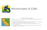 Microscopes & Cells California State Standards: 1.a Students know cells are enclosed within semi-permeable membranes that regulate their interaction with.