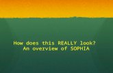 How does this REALLY look? An overview of SOPHIA.
