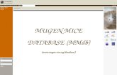 MUGEN MICE DATABASE (MMdb) (
