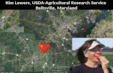 Kim Lewers, USDA-Agricultural Research Service Beltsville, Maryland.