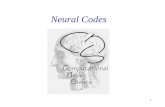 1 Neural Codes. 2 Neuronal Codes – Action potentials as the elementary units voltage clamp from a brain cell of a fly.