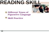 Different Types of Figurative Language Skill Practice.