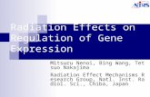 Radiation Effects on Regulation of Gene Expression Mitsuru Nenoi, Bing Wang, Tetsuo Nakajima Radiation Effect Mechanisms Research Group, Natl. Inst. Radiol.