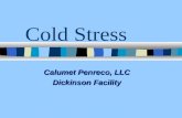 Cold Stress Calumet Penreco, LLC Dickinson Facility.