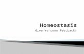Give me some Feedback!. 2 Homeostasis* * Maintaining of a stable internal environment Homeostatic Control Mechanisms – monitors aspects of the internal.
