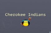 Cherokee Indians The Beginnings ► Around 1000 AD the first Cherokee natives arrived in the Great Smoky Mountains. ► They belonged to the branch of Iroquois.