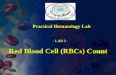 Red Blood Cell (RBCs) Count Practical Hematology Lab - LAB 3 -