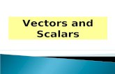 Vectors and Scalars.  A scalar quantity is a quantity that has magnitude only and has no direction in space Examples of Scalar Quantities:  Length