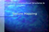Texture Mapping CAP4730: Computational Structures in Computer Graphics.