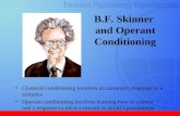 1 B.F. Skinner and Operant Conditioning Classical conditioning involves an automatic response to a stimulus Operant conditioning involves learning how.