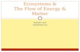 PACKET #33 CHAPTER #13 Ecosystems & The Flow of Energy & Matter.