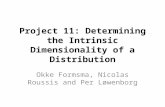 Project 11: Determining the Intrinsic Dimensionality of a Distribution Okke Formsma, Nicolas Roussis and Per Løwenborg.