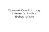 Operant Conditioning: Skinner’s Radical Behaviorism.