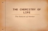 THE CHEMISTRY OF LIFE The Nature of Matter. What do all of These Pictures Have in Common?