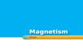Week.  Student will: Magnetic Fields and Forces  Demonstrate Magnetic Fields and Forces.