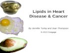 Lipids in Heart Disease & Cancer By Jennifer Turley and Joan Thompson © 2013 Cengage.