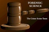 FORENSIC SCIENCE The Crime Scene Team Bell Work for Wednesday, September 2 *Who makes up the CSI team? *What are the protocols when approaching a crime.