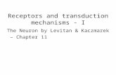 Receptors and transduction mechanisms - I The Neuron by Levitan & Kaczmarek – Chapter 11.